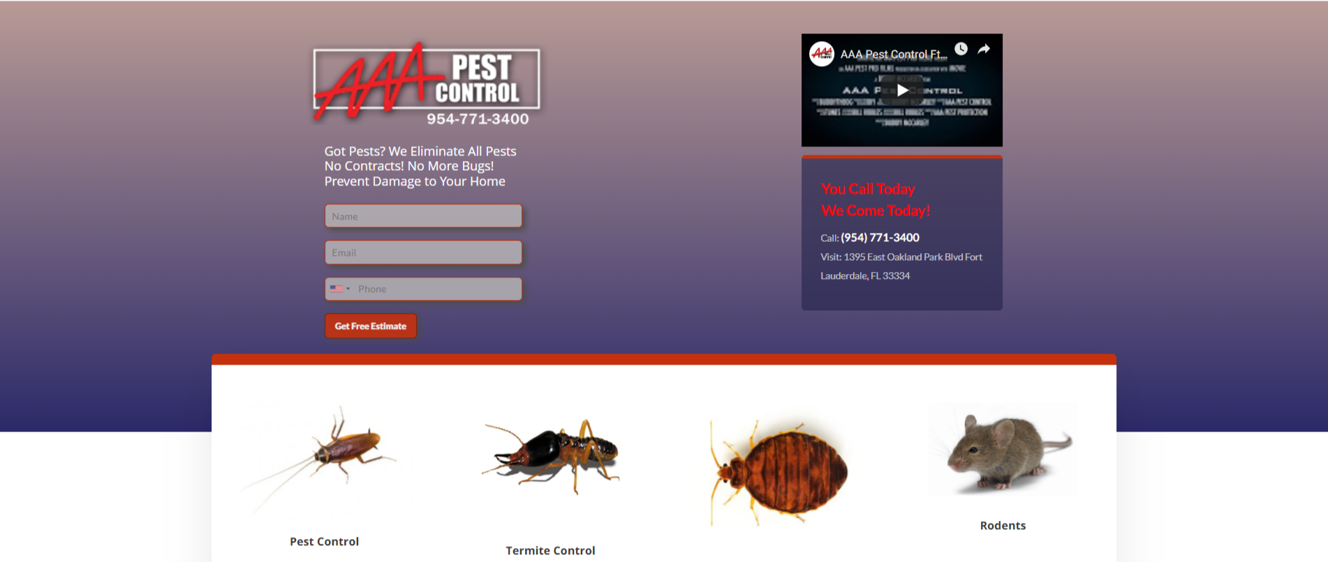 Pest Control Services In South Florida (2)